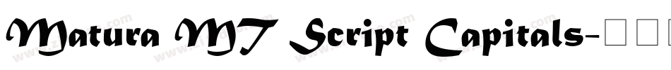 Matura MT Script Capitals字体转换